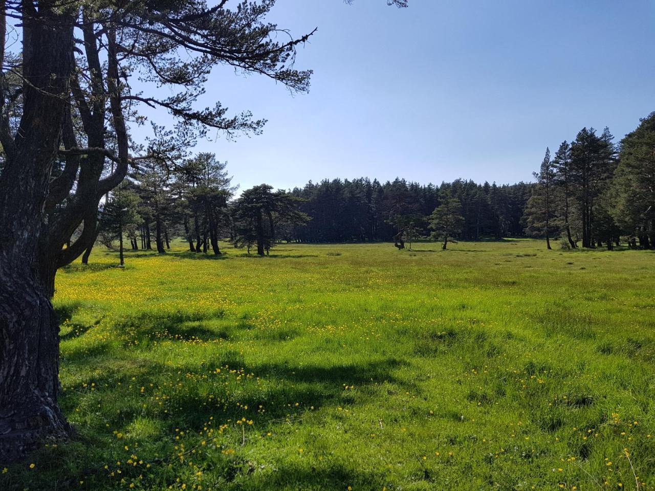 מלון Bolu Adya מראה חיצוני תמונה